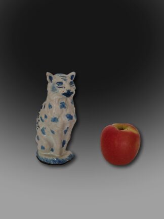 Delft cat